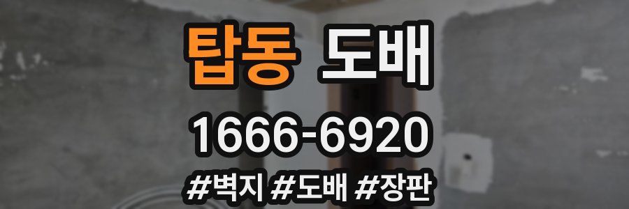 탑동 도배