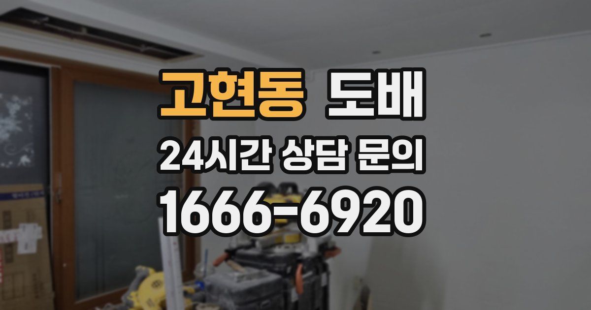 고현동 도배