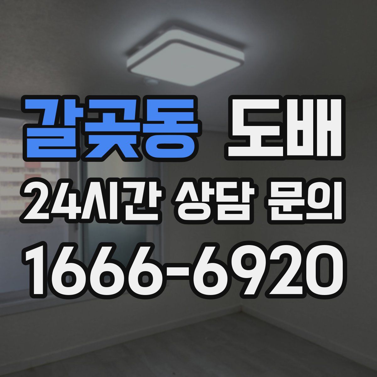 갈곶동 도배