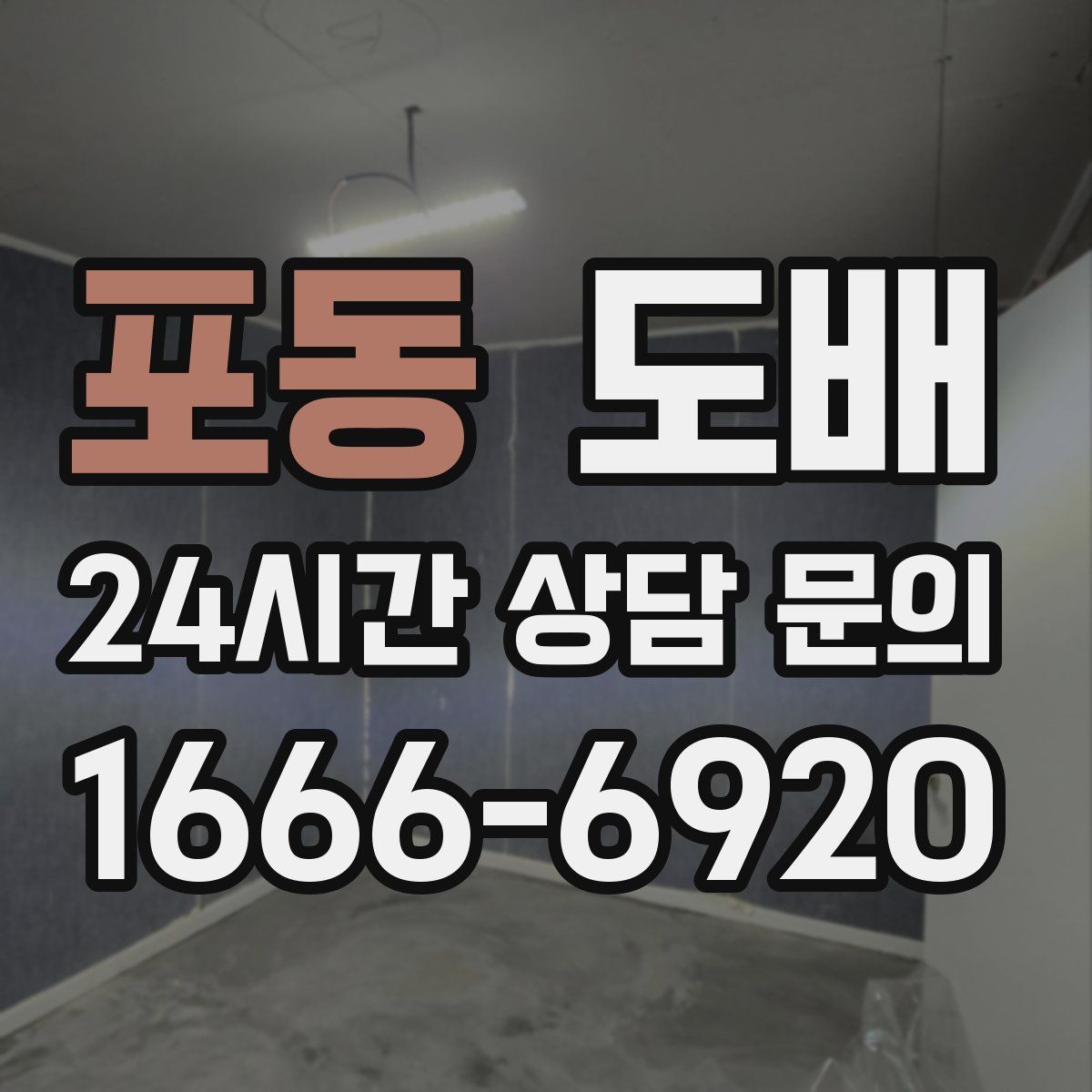 포동 도배