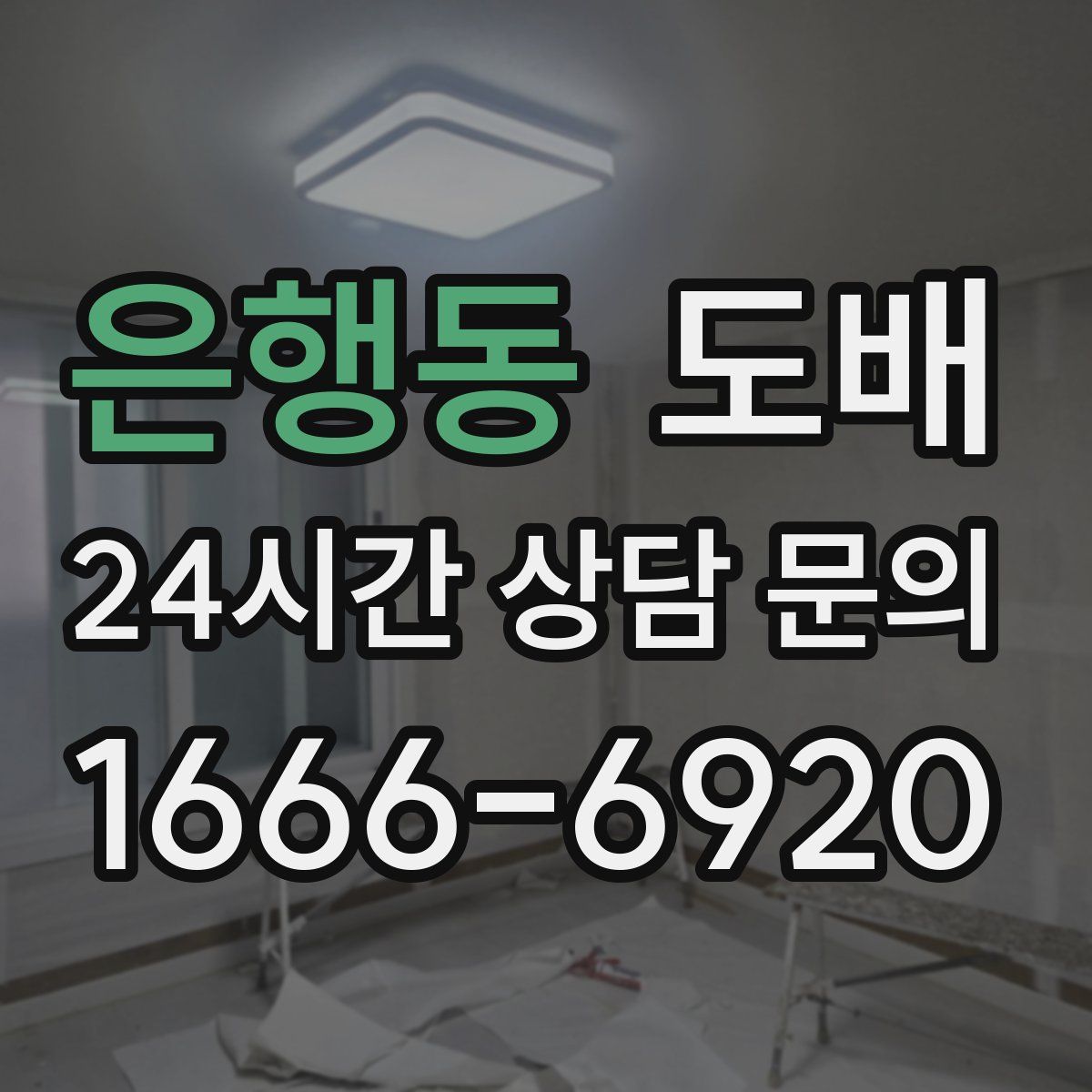 은행동 도배
