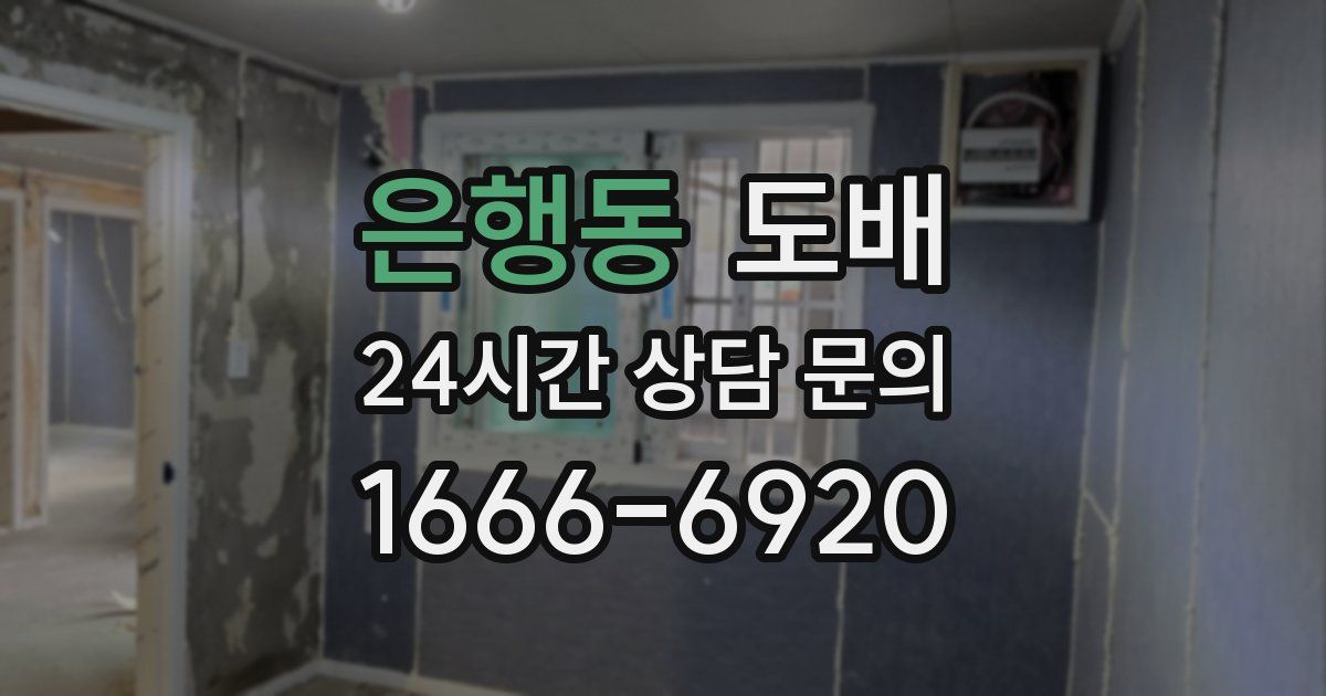 은행동 도배