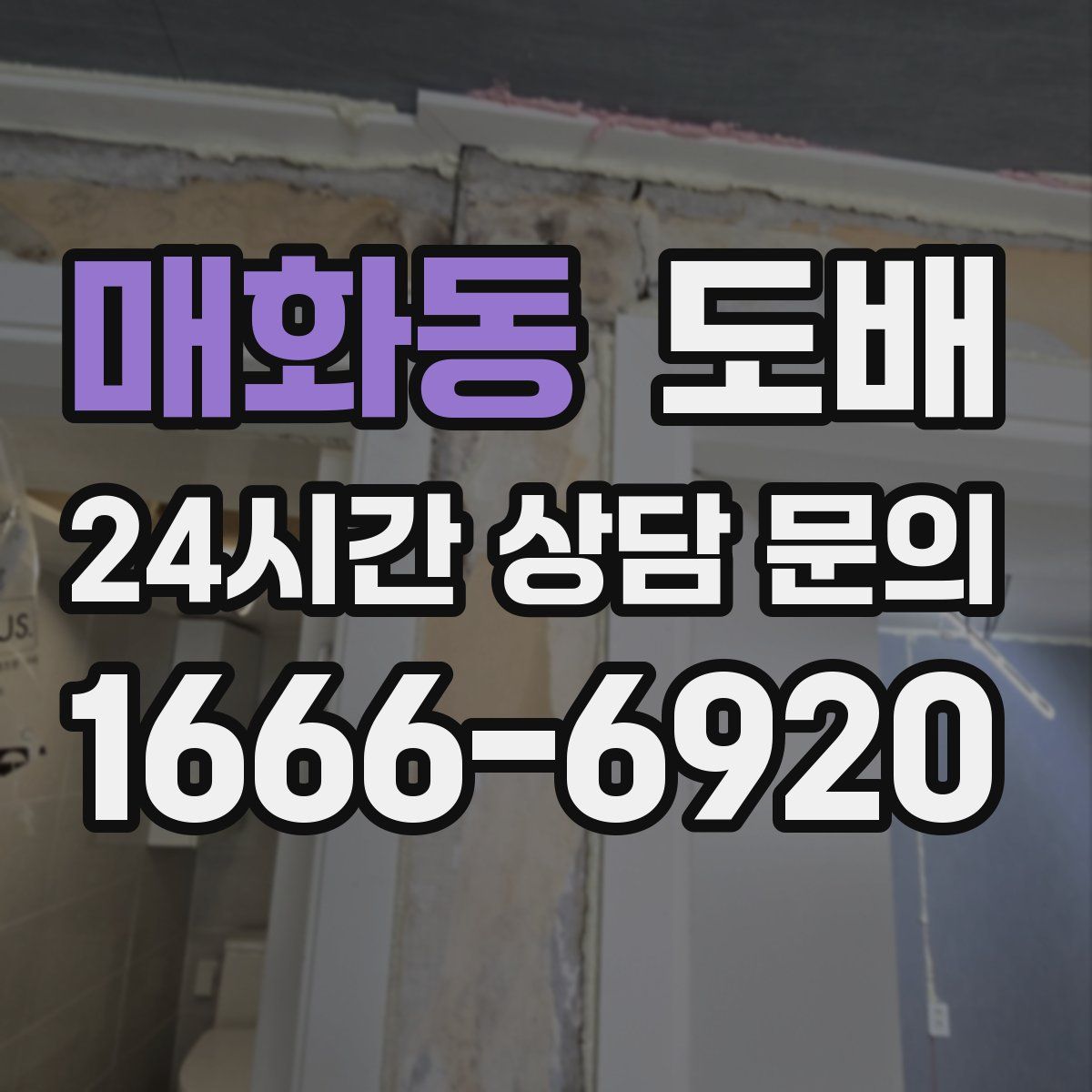 매화동 도배