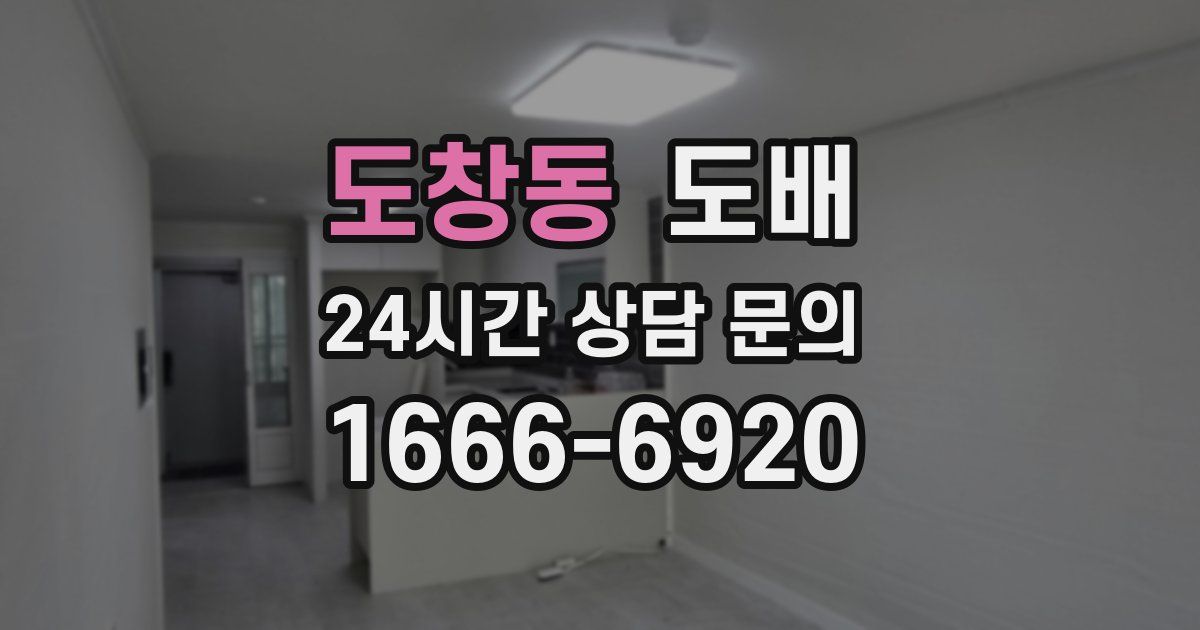 도창동 도배