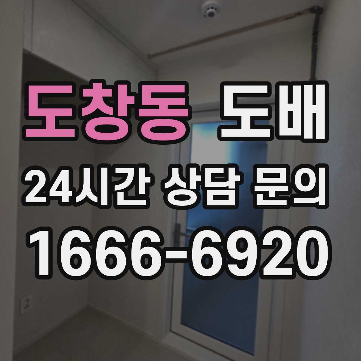 도창동 도배