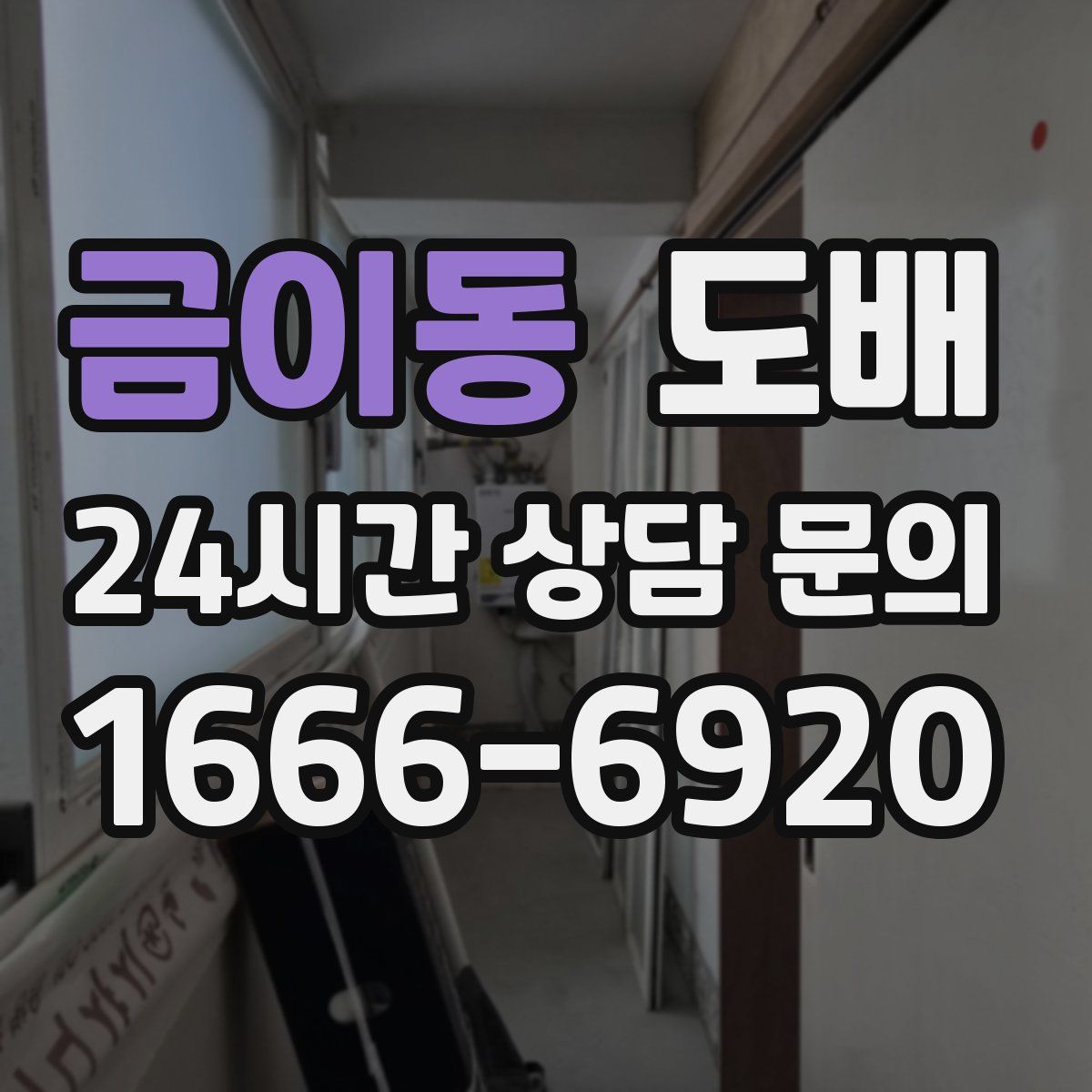 금이동 도배