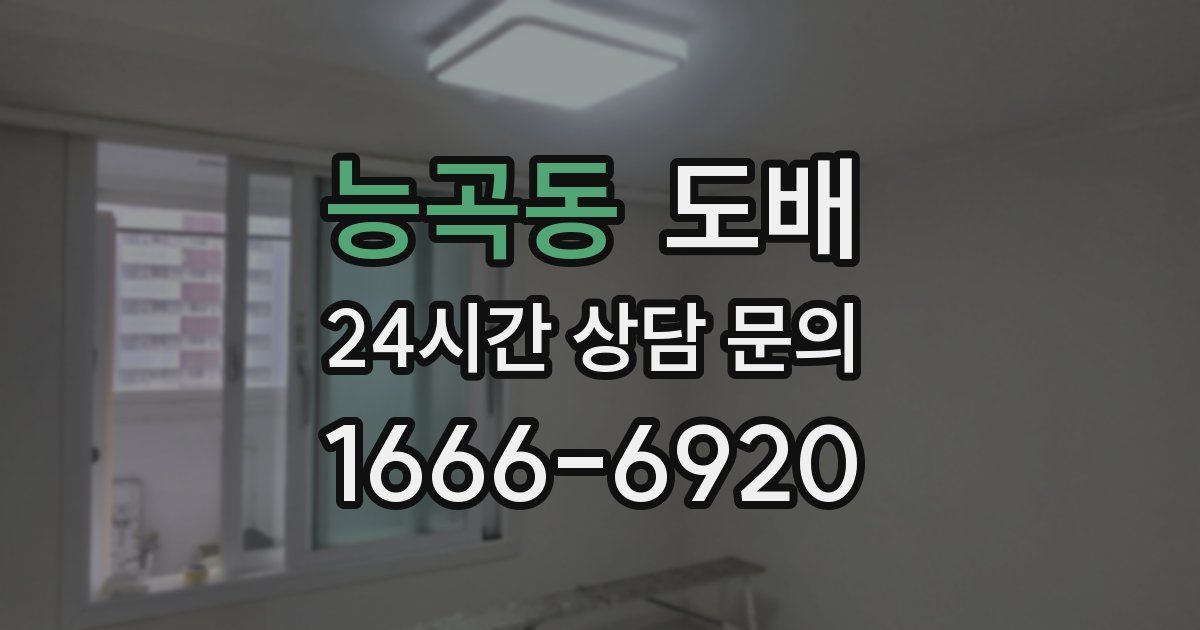 능곡동 도배