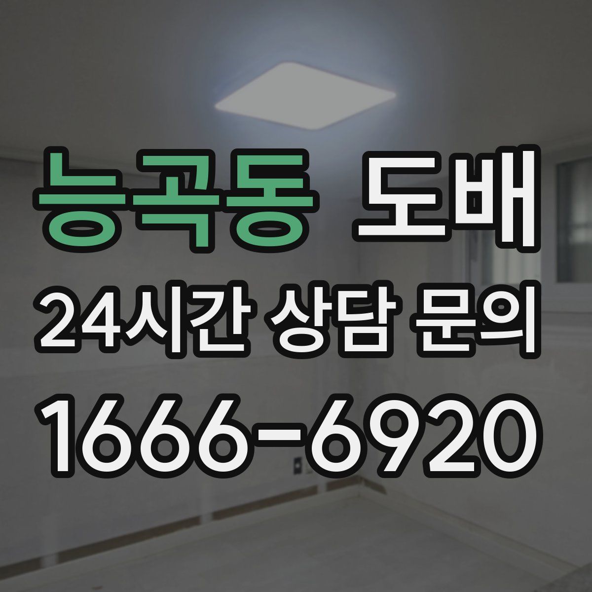 능곡동 도배
