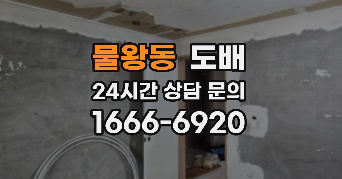 물왕동 도배