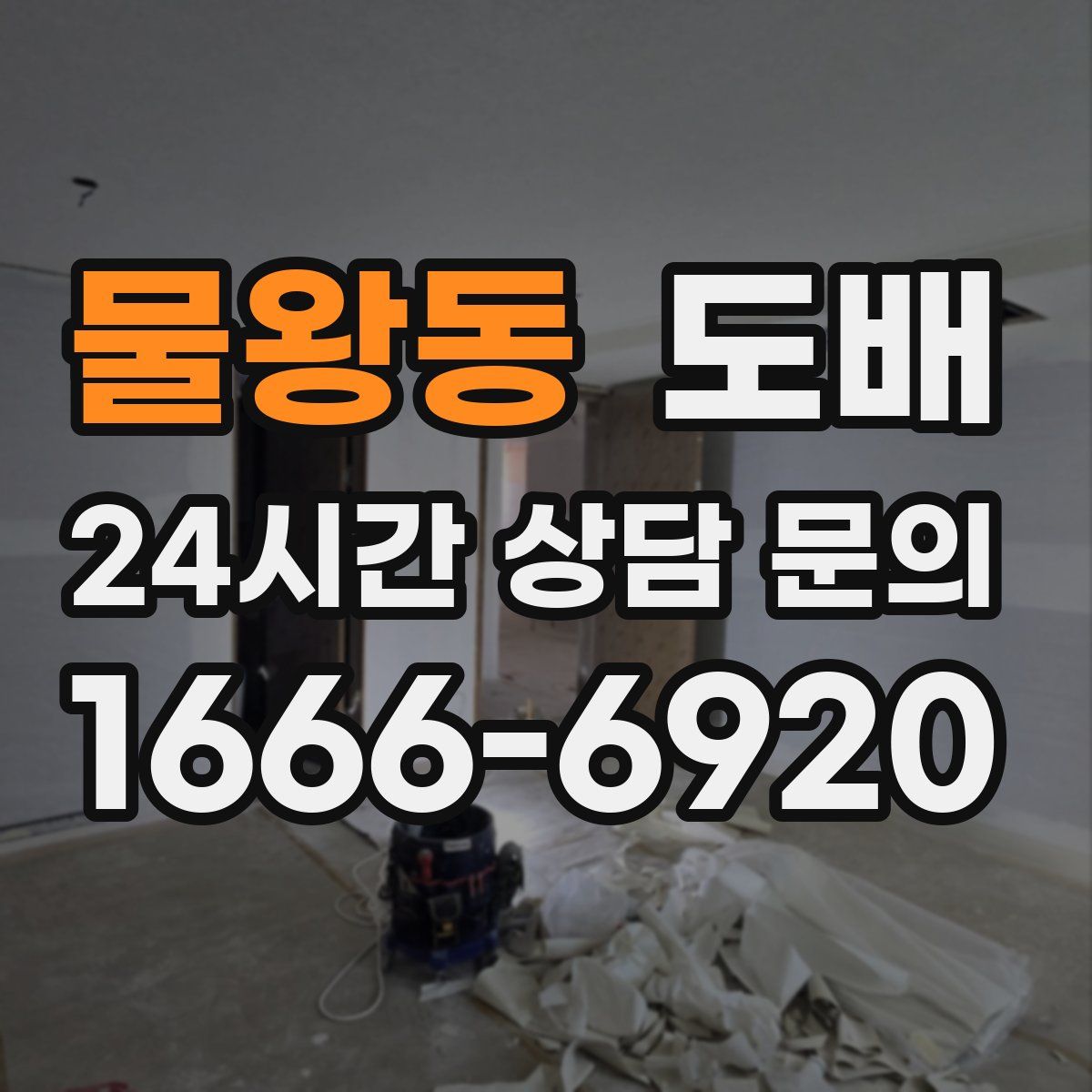 물왕동 도배