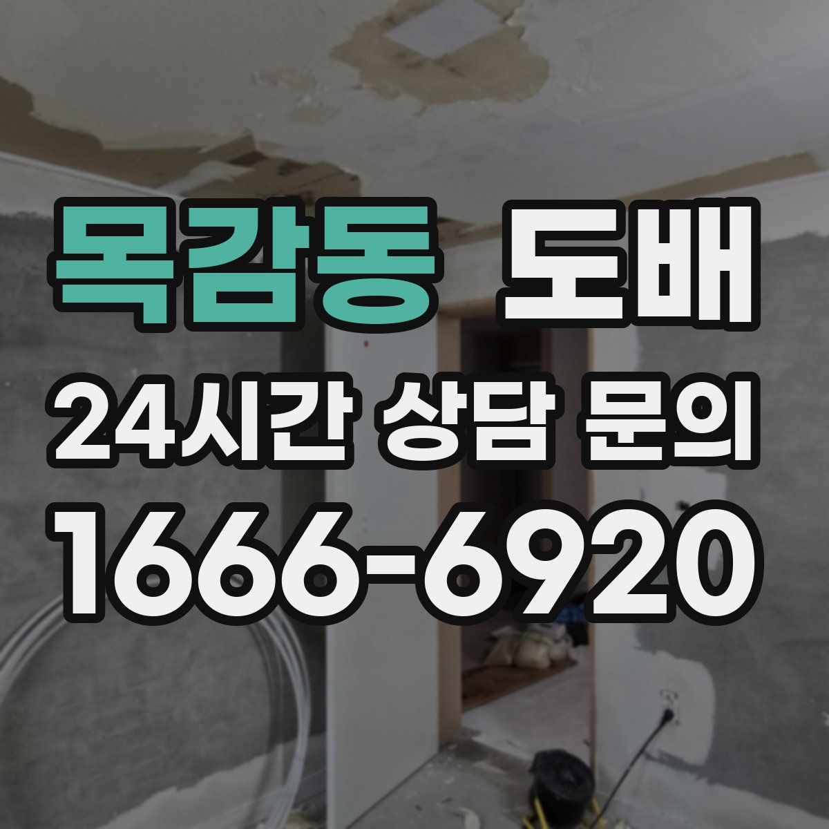 목감동 도배