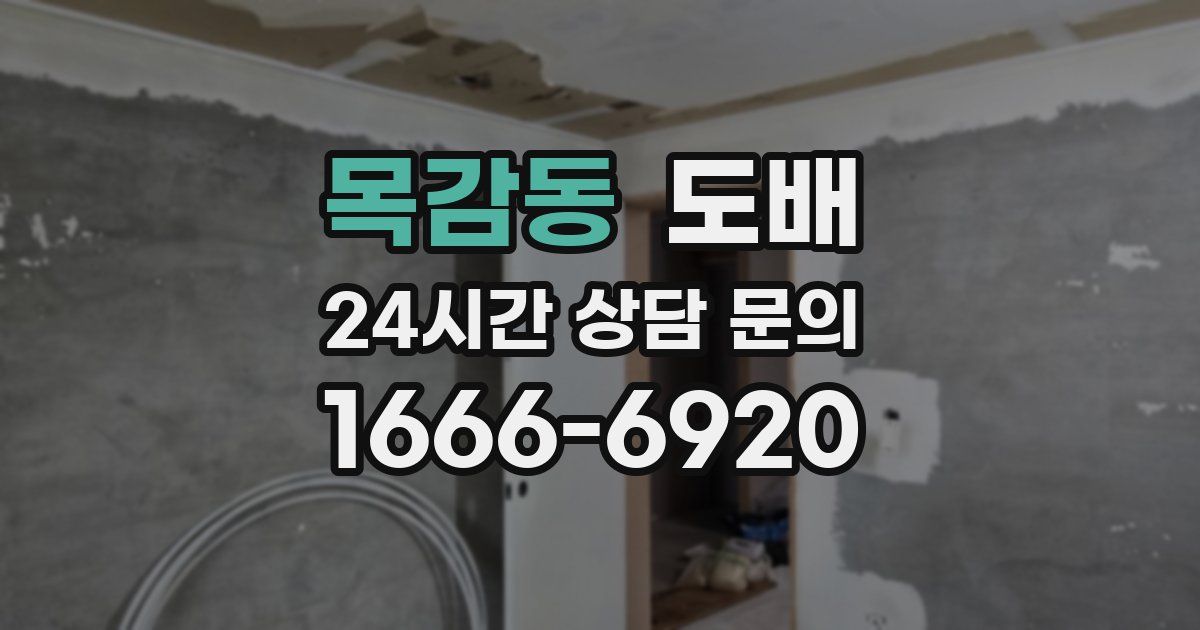 목감동 도배