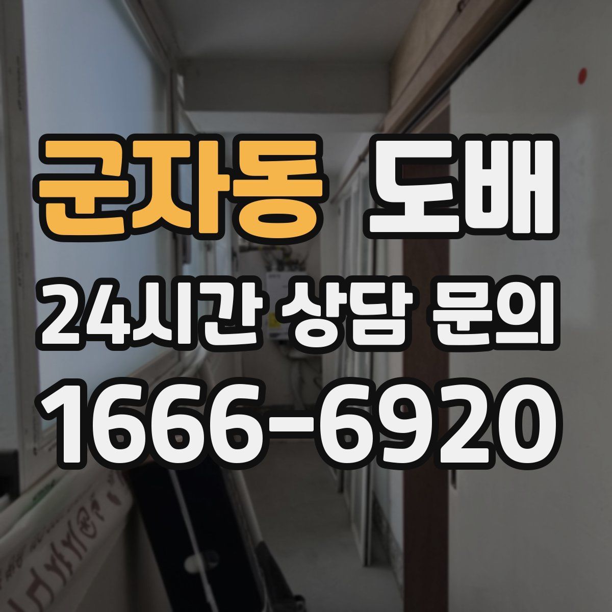 군자동 도배