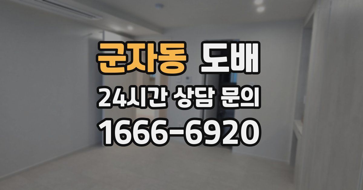 군자동 도배