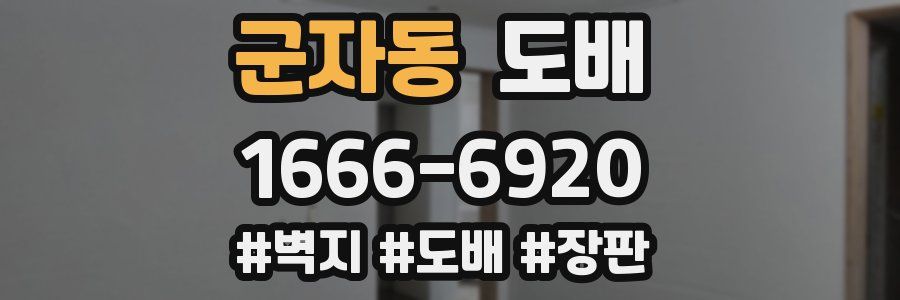 군자동 도배