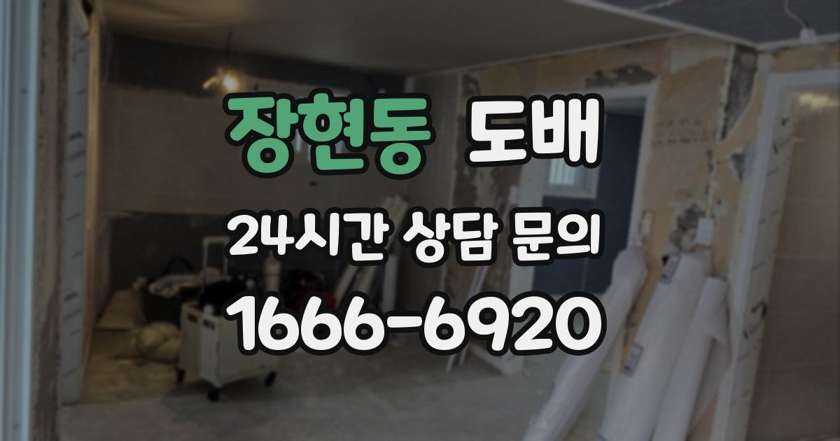 장현동 도배