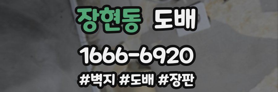 장현동 도배