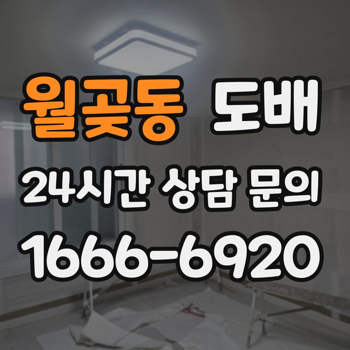 월곶동 도배