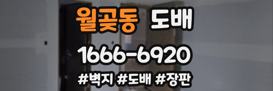월곶동 도배