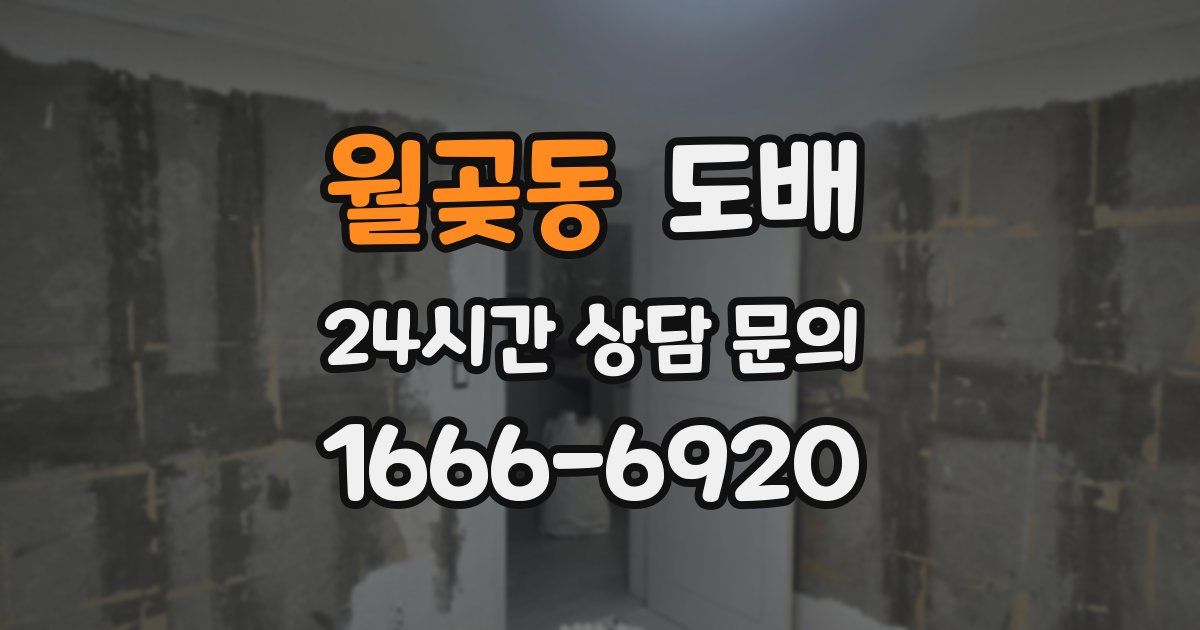 월곶동 도배