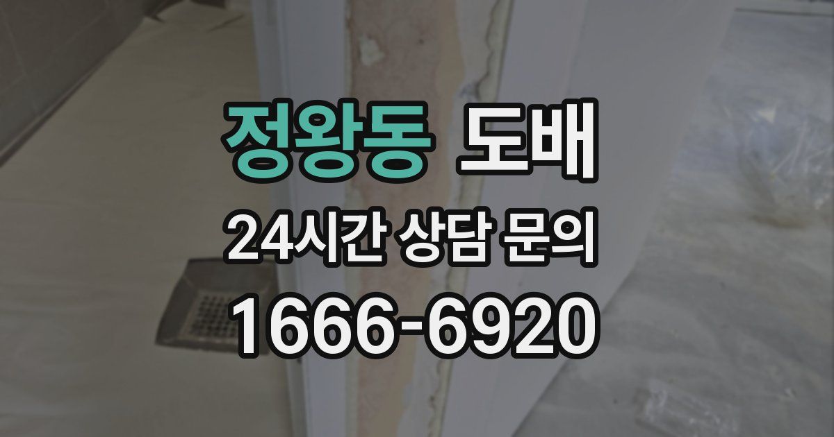 정왕동 도배