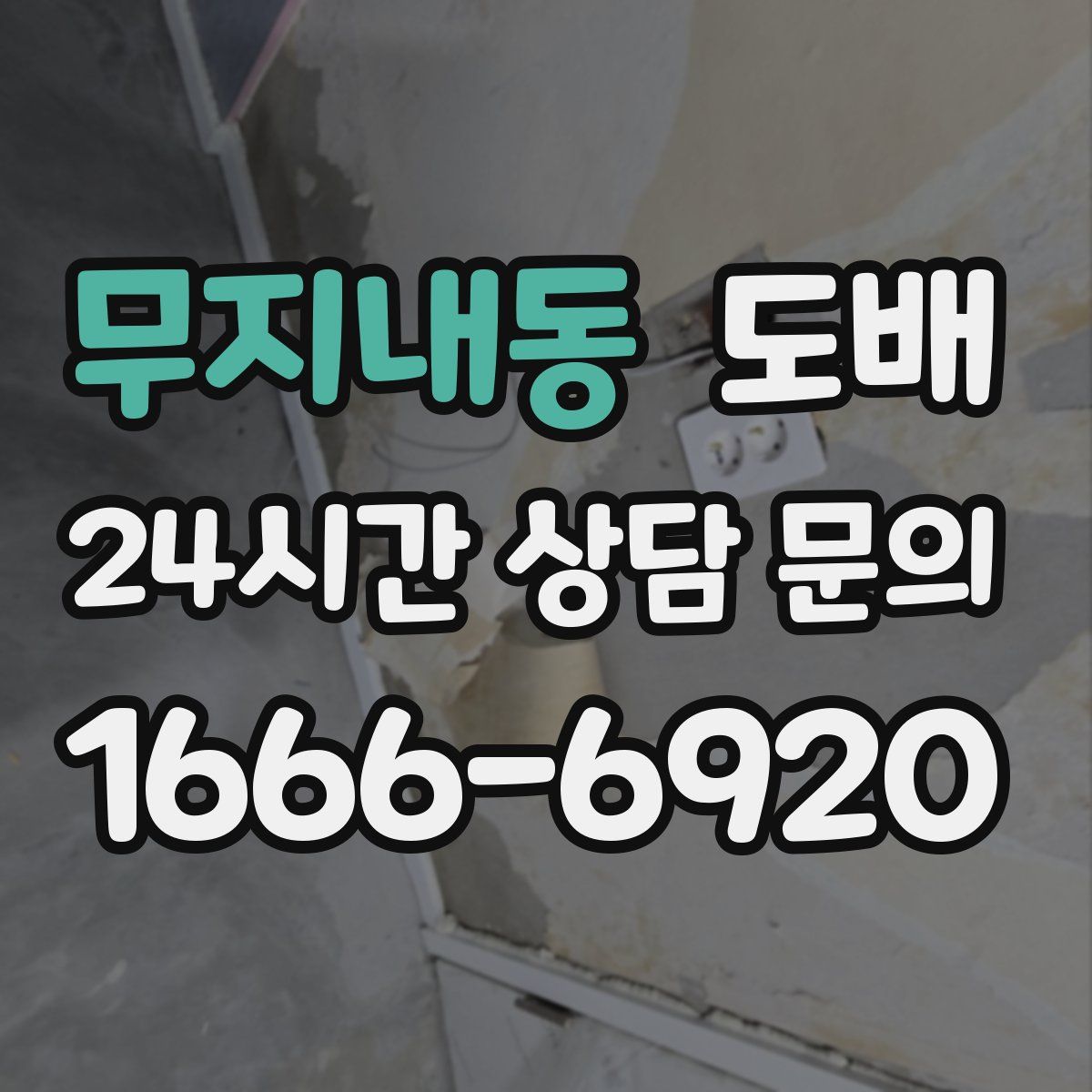 무지내동 도배