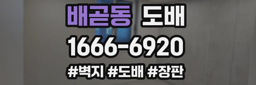 배곧동 도배