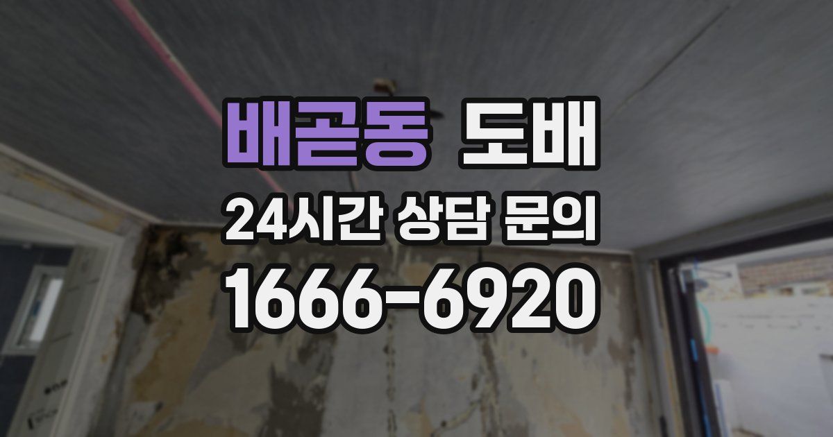 배곧동 도배