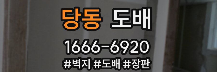당동 도배