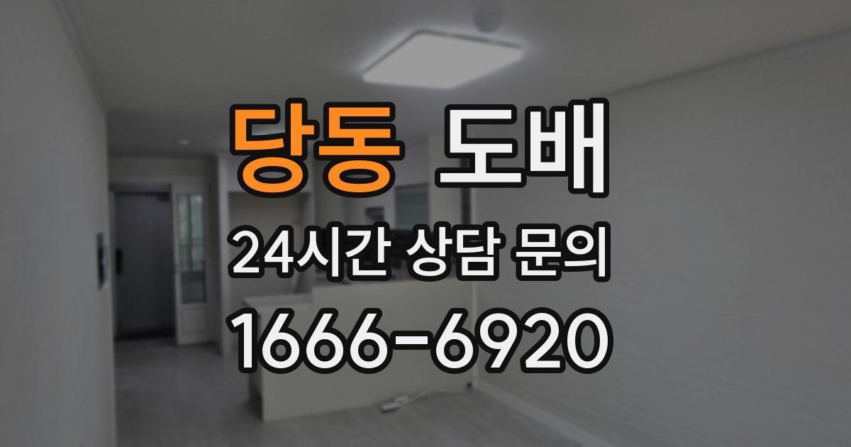 당동 도배