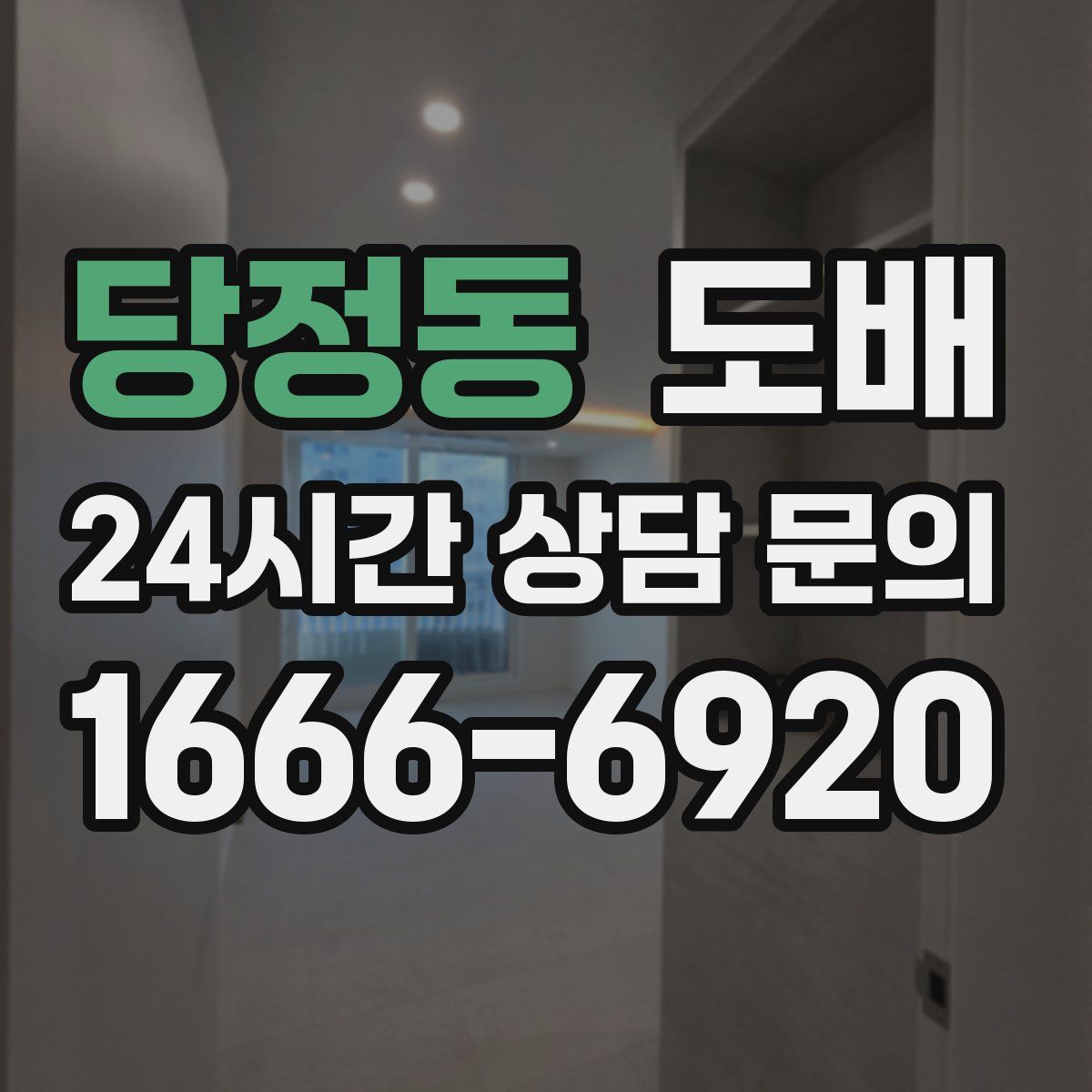 당정동 도배