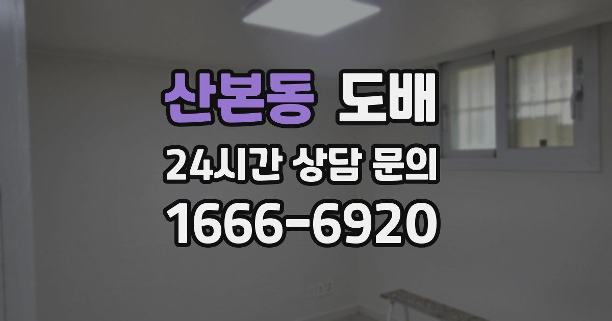 산본동 도배