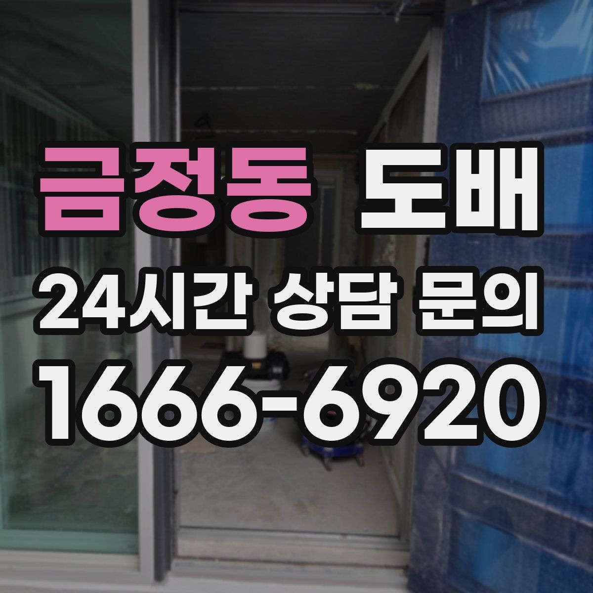 금정동 도배