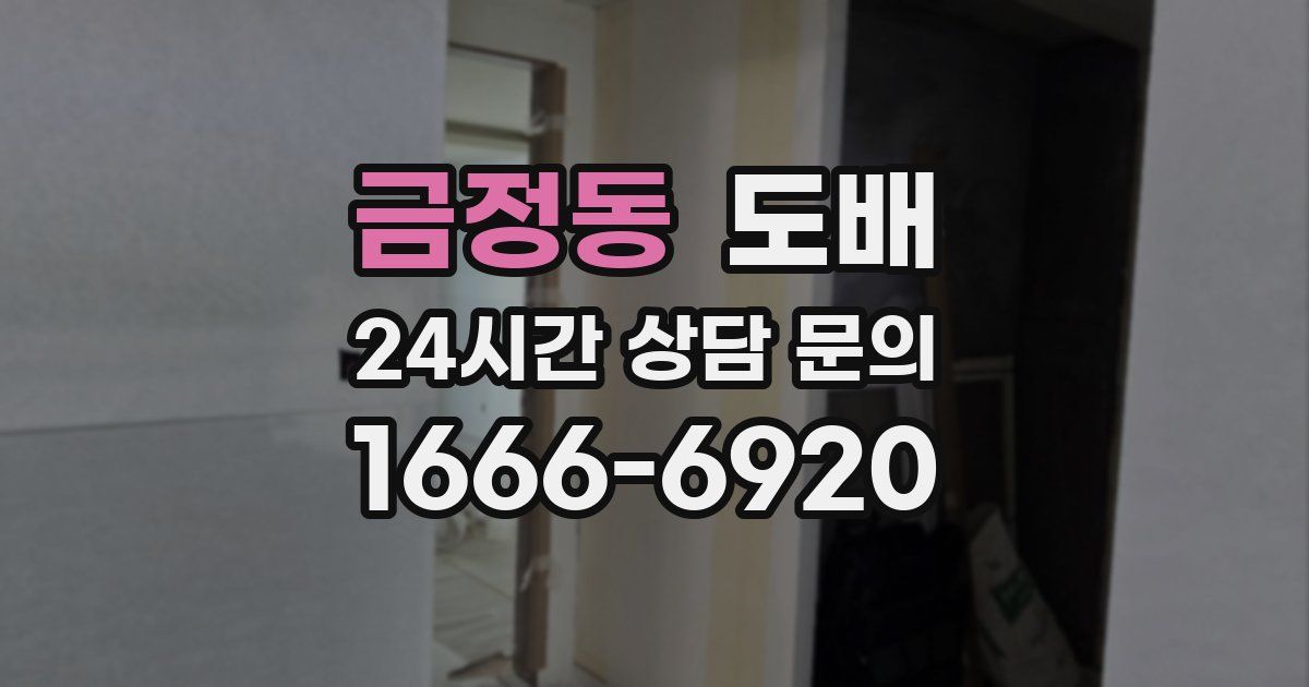 금정동 도배
