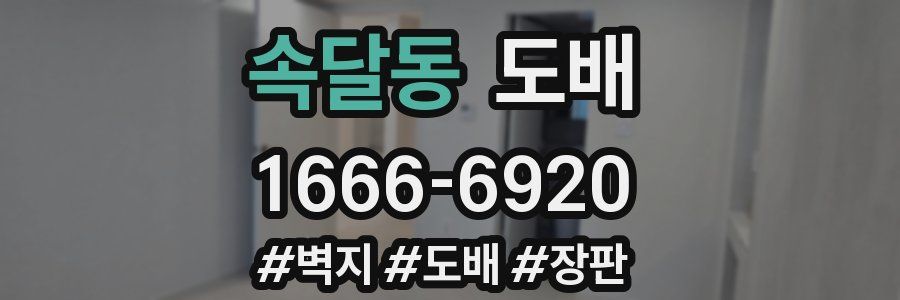 속달동 도배