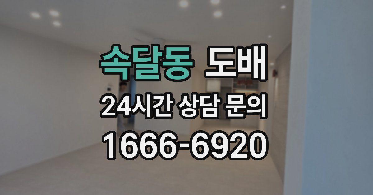 속달동 도배
