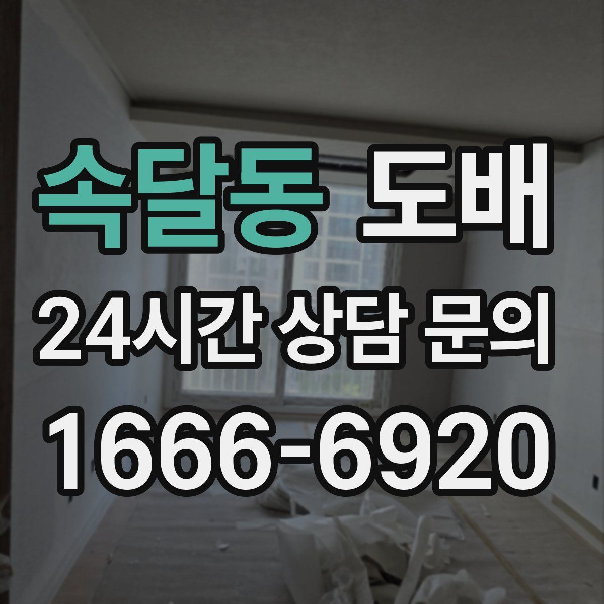 속달동 도배