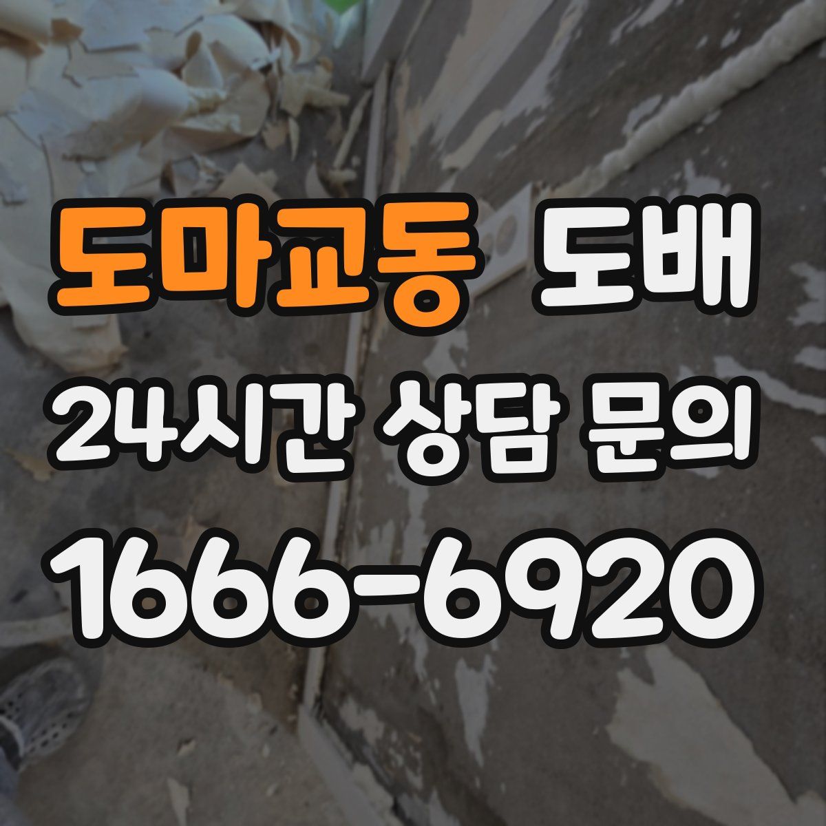도마교동 도배