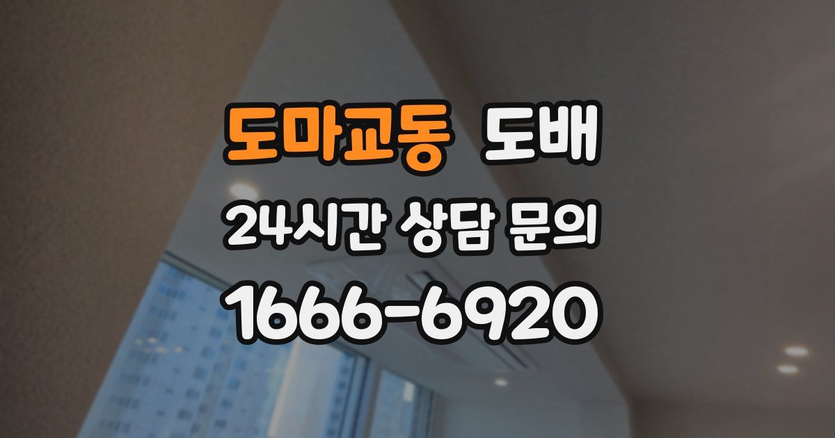 도마교동 도배
