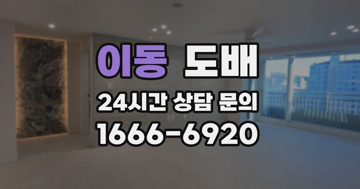 이동 도배