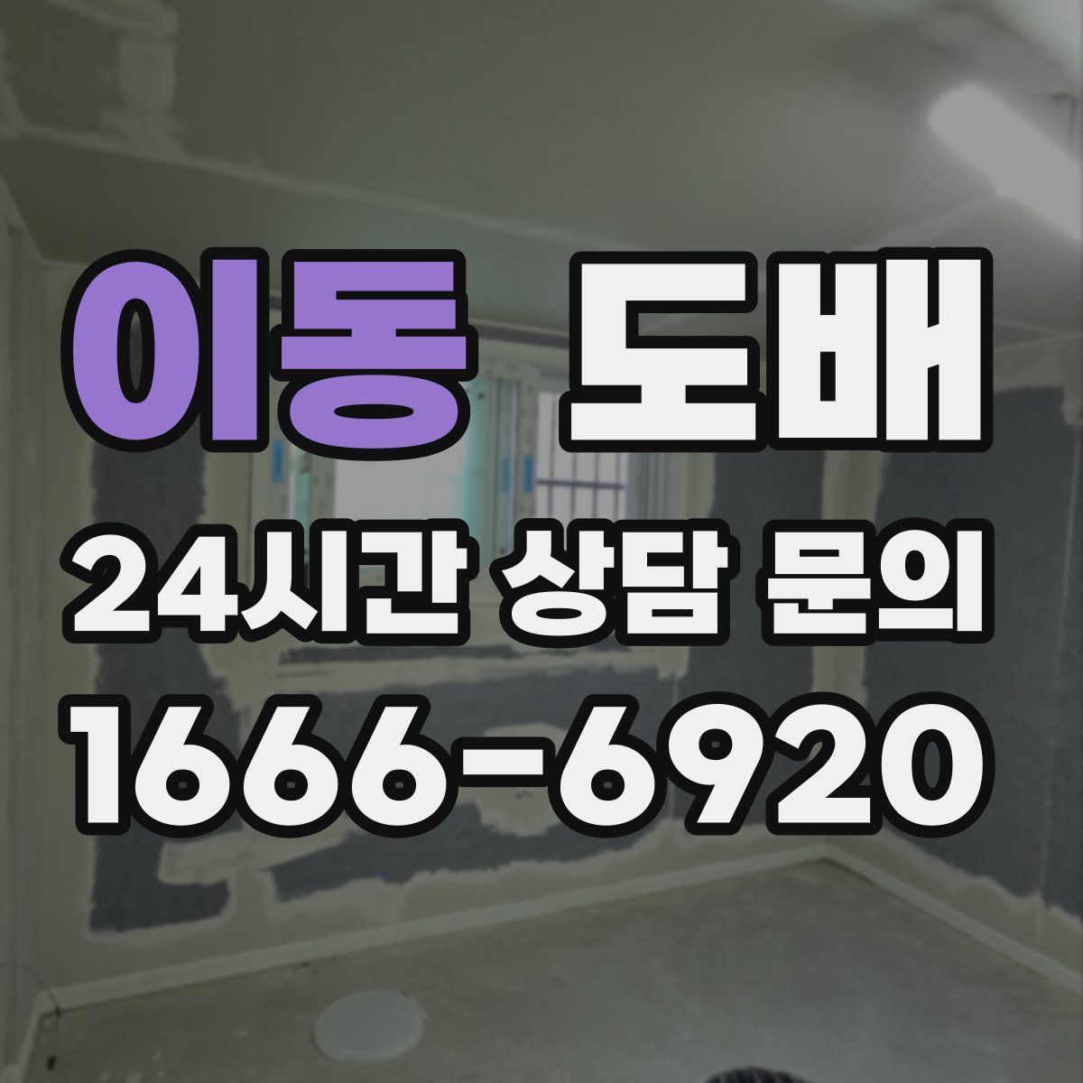 이동 도배