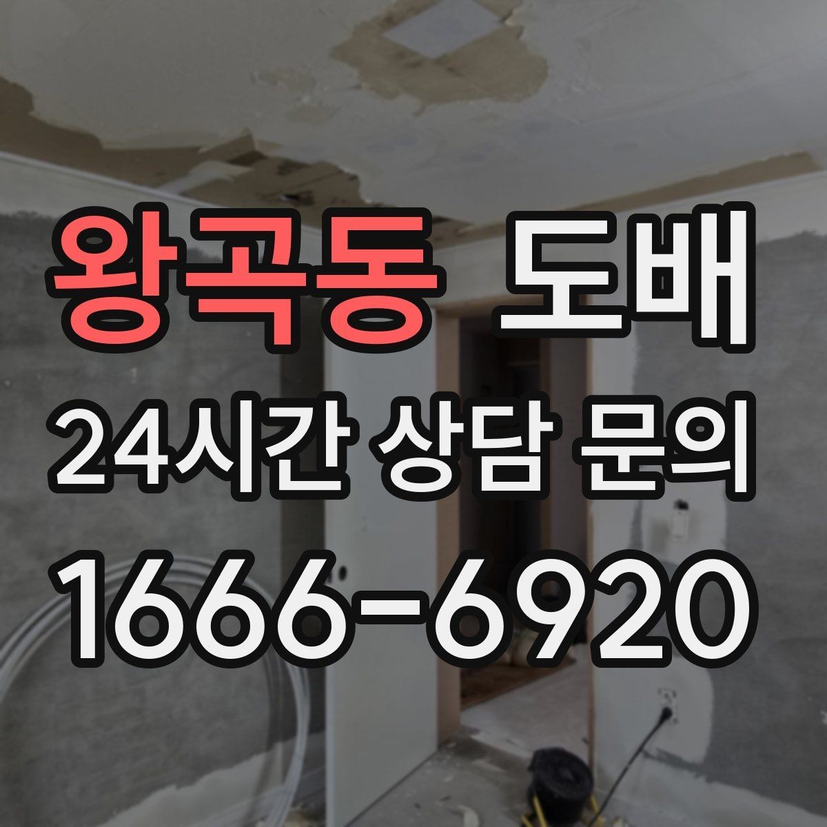 왕곡동 도배 색상 선택이 공간 분위기에 미치는 영향