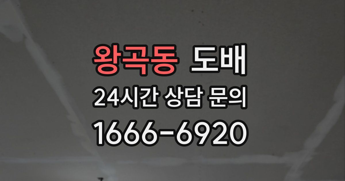왕곡동 도배