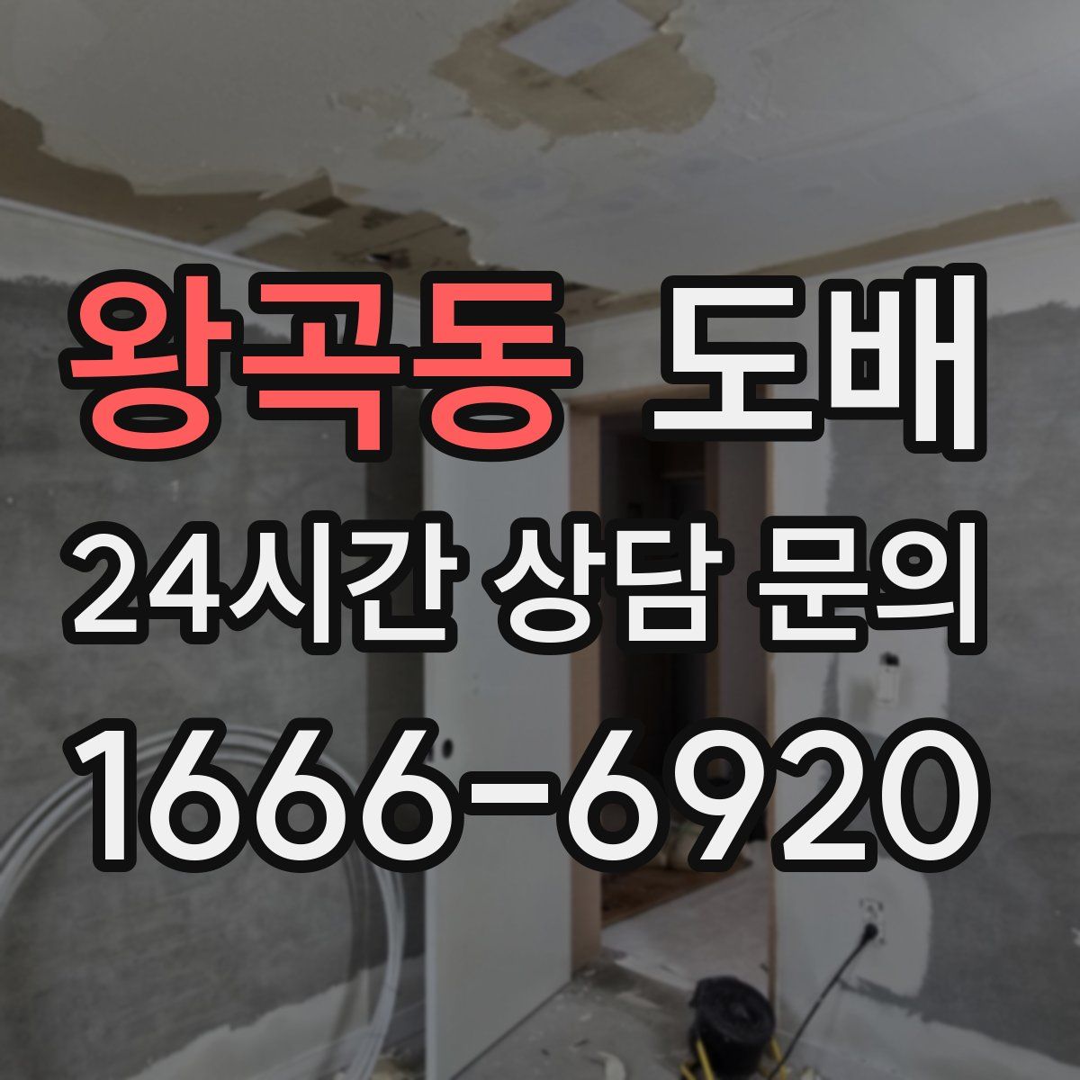 왕곡동 도배