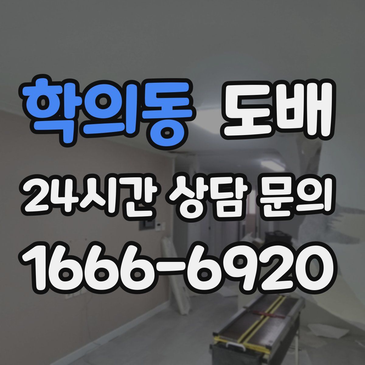 학의동 도배