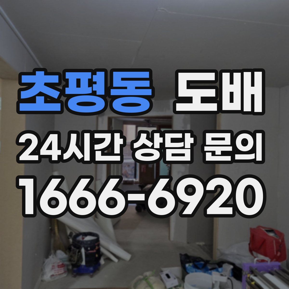 초평동 도배