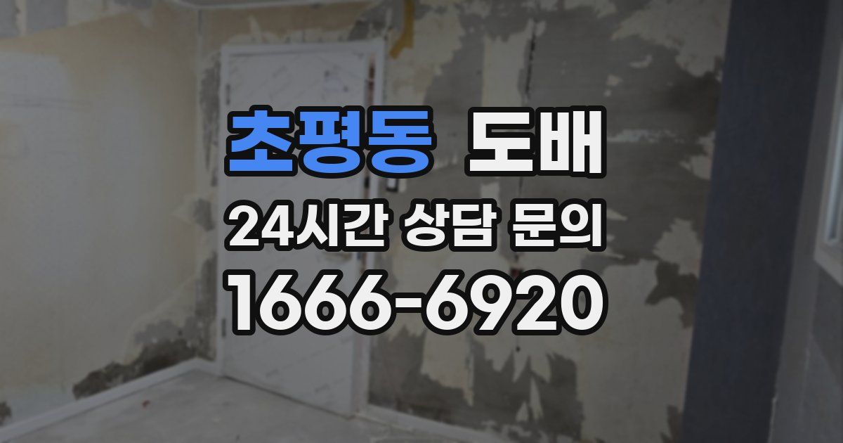 초평동 도배