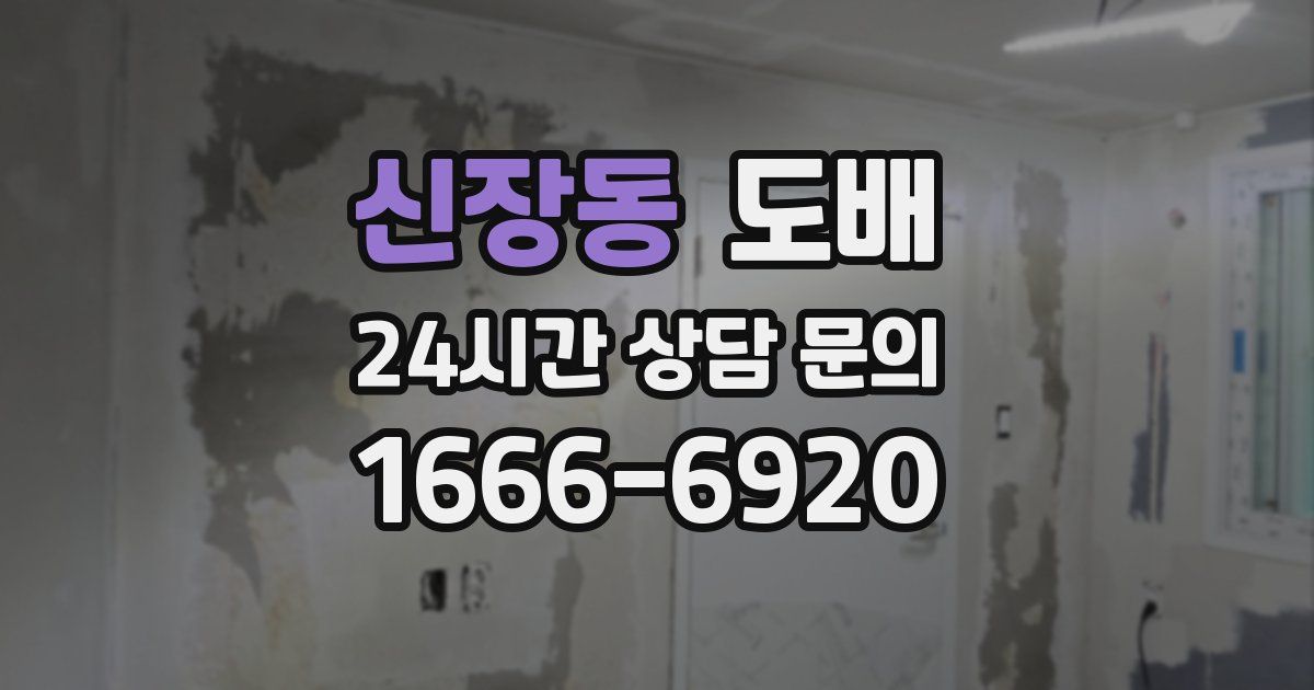 신장동 도배