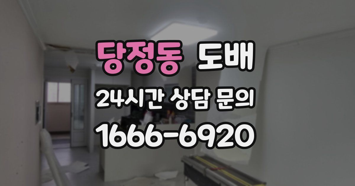당정동 도배