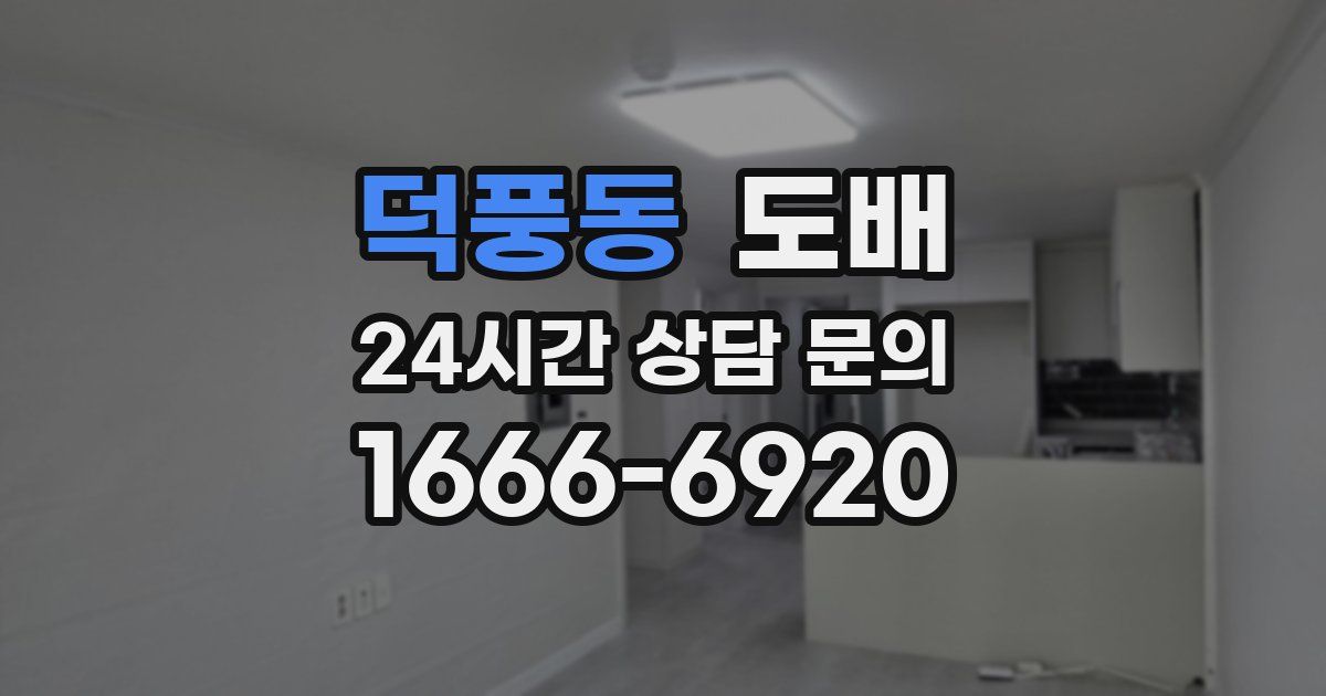 덕풍동 도배